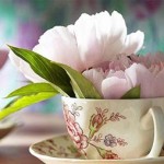Модное украшение интерьера – цветы в чашках