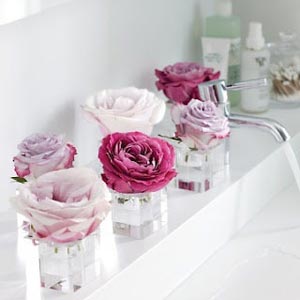 цветы в ванной комнате 14