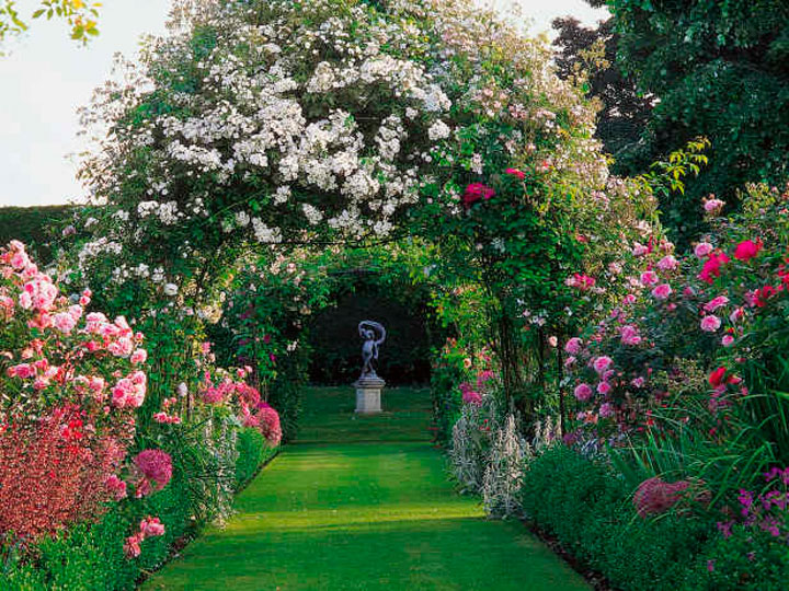 Чудесный розовый сад