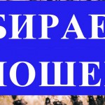 Как избавиться от мошек в цветочных горшках