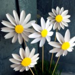 Изготовление ромашки из бумаги