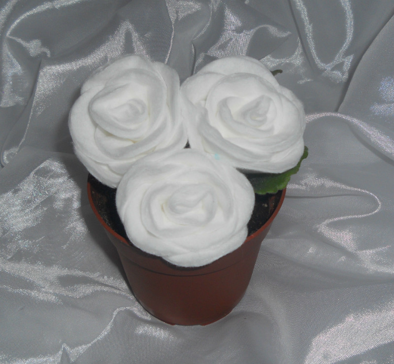 «Белые розы в горшочке»