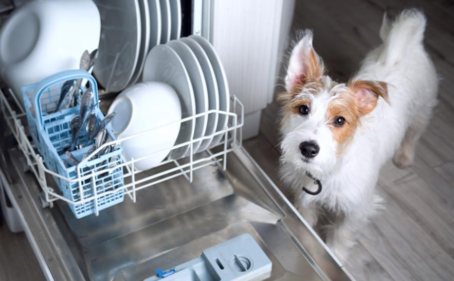 Какие детали чаще всего выходят из строя в посудомоечной машине и почему